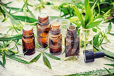 Cannabis herb and leaves for treatment Stock Photo