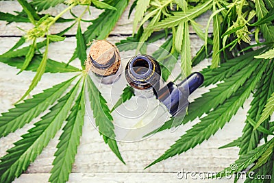 Cannabis herb and leaves for treatment Stock Photo