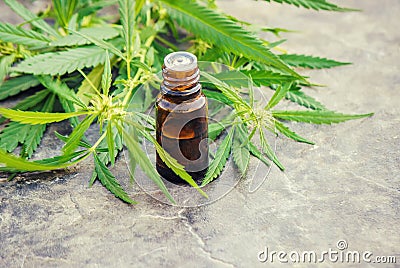 Cannabis herb and leaves for treatment Stock Photo