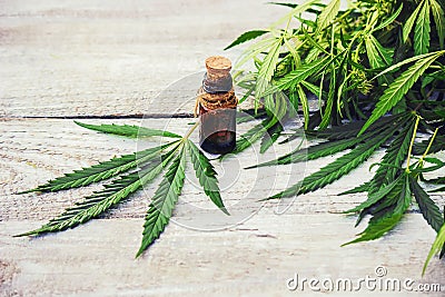 Cannabis herb and leaves for treatment Stock Photo