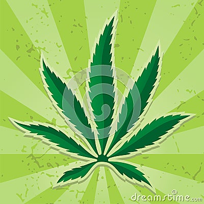 Cannabis leaf icon Vector Illustration