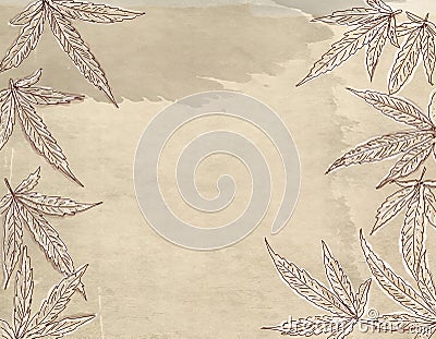 Cannabis leaves on old paper background. Hand drawn illustration. Cartoon Illustration