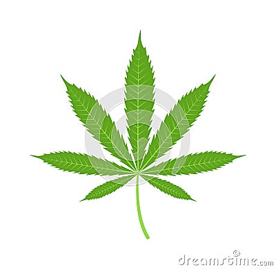 Cannabis marijuana leaf icon vector illustration. Vector Illustration