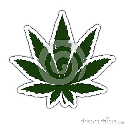 Cannabis marijuana leaf sticker blank illustration realism isolate. Cartoon Illustration