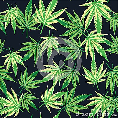 Cannabis marijuana leafs. Seamless pattern. Vector plant background. Vector Illustration