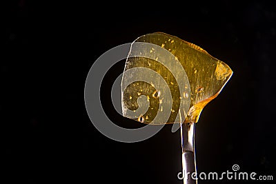 Cannabis oil concentrate aka shatter held on a dabbing tool over Stock Photo