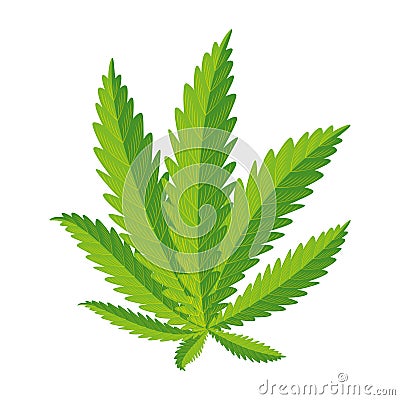 cannabis plant leafs nature icon Cartoon Illustration