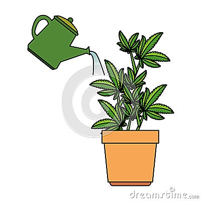 cannabis plant in pot with water sprinkler Cartoon Illustration