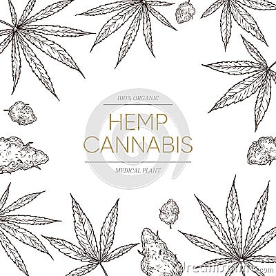 Cannabis sketch background. Medical marijuana leaves and seeds concept for cbd oil banner. Hand drawn ganja vector Vector Illustration