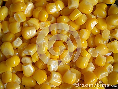 Canned corn Stock Photo