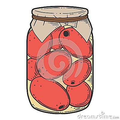 Canned tometoes preserve. Vector concept in doodle and sketch style Cartoon Illustration