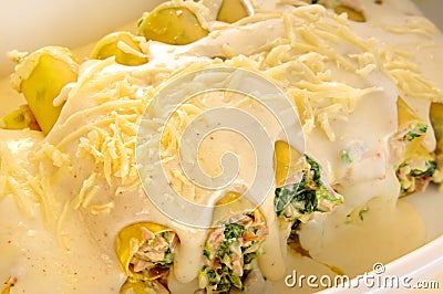 Cannelloni Stock Photo