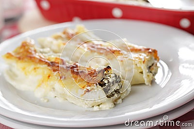 Cannelloni Stock Photo