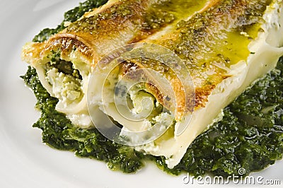 Cannelloni Stock Photo