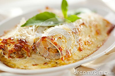 Cannelloni Stock Photo