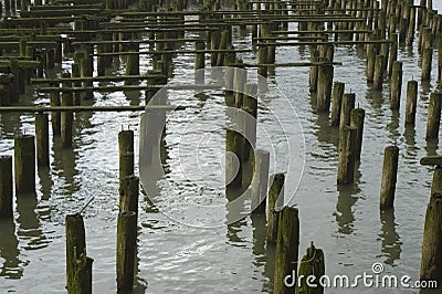 Cannery Pier Stock Photo