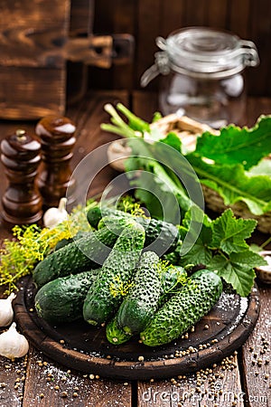 Canning cucumbers Stock Photo