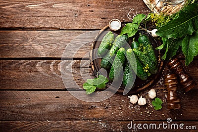 Canning cucumbers Stock Photo