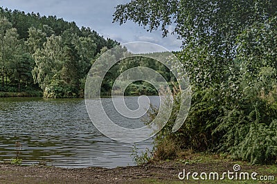 Cannock Chase AONB in Staffordshire Stock Photo