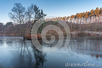 Cannock Chase, AONB in Staffordshire Stock Photo
