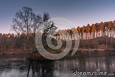 Cannock Chase, AONB in Staffordshire Stock Photo