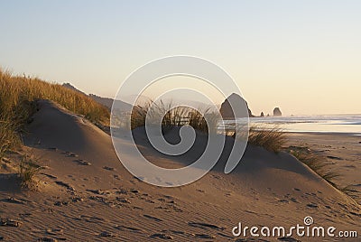 Cannon Beach Sand Dunes Stock Photo