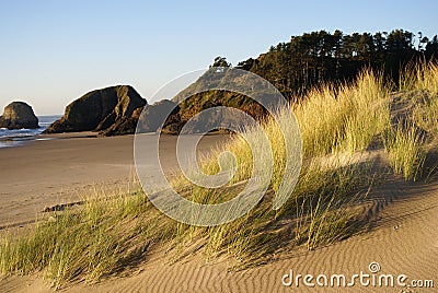 Cannon Beach Sand Dunes Stock Photo