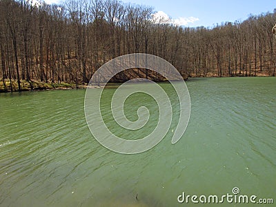 Cannon Creek Lake4 Stock Photo