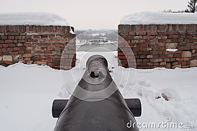 Cannon Stock Photo