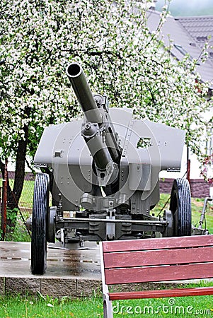 Cannon from second world war with flowering tree in Zliechov Stock Photo