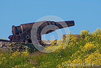 Cannon on Suomenlinna Island Stock Photo