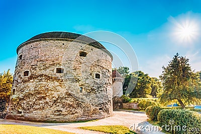 Cannon tower Fat Margaret, Tallinn Stock Photo