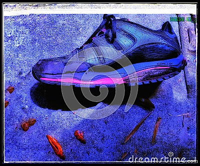 Sketchers posterior building shoe Stock Photo