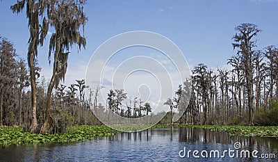 Canoe Kayak Trail Minnies Lake, Okefenokee Swamp National Wildlife Refuge Stock Photo