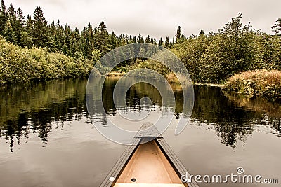 Canoe Nose Calm Peaceful Quite Lake Algonquin Park, Ontario Canada Tree Reflection Shoreline Pine Tree Forest Shore line Stock Photo