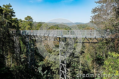 Canopy walkway located at the impressive Queen Sirikit Botanic Gardens in the Mae Rim district in the mountains. Chiang Mai, Editorial Stock Photo