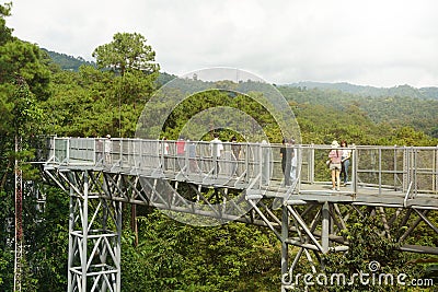 Canopy walkway, A walk in the treetops at Queen Sirikit Botanical Garden, Chiang Mai, Thailand. Editorial Stock Photo