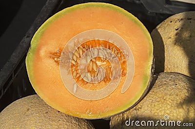 Cantalope Half Stock Photo