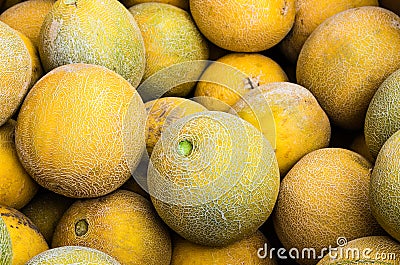 Cantalope melons on display at market Stock Photo