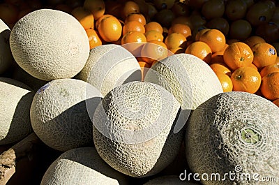 Cantalope Stock Photo