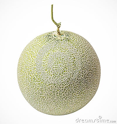 Cantaloupe melons on a white background Stock Photo
