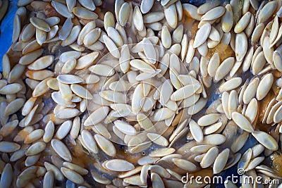 Cantaloupe (Musk melon) seeds Stock Photo