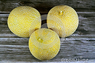 The cantaloupe, rockmelon (Australia and New Zealand, although cantaloupe), sweet melon, or spanspek Stock Photo