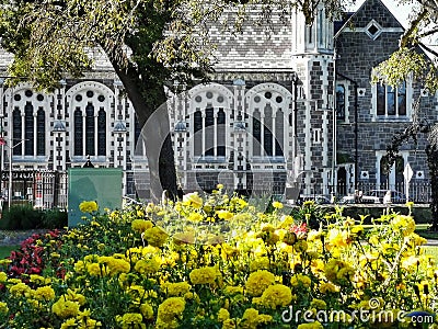 The Canterbury Museum with a yellow flowes on the foreground Stock Photo