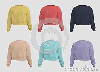 Canvas bella 3D rendering female crop sweatshirt template, shirt, isolated on background, front. Longsleeve set for design Stock Photo