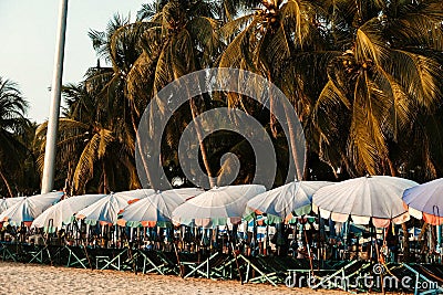 Beach bed ,canvas beds or trampoline with palm tree in sea beach for tourists to rest on summer holiday with bright blue sky Editorial Stock Photo
