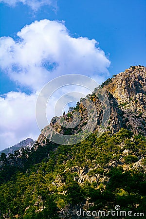 Canyon cliffs. Forest covered hills in vertical view. Goynuk Canyon in Antalya Stock Photo