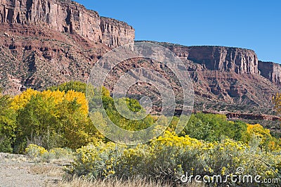 Canyon of the Dolores River Stock Photo