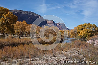 Canyon of the Dolores River near Gateway, Colorado Stock Photo
