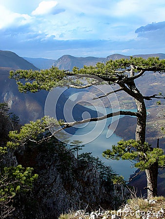 Canyon of Drina River in Serbia Stock Photo